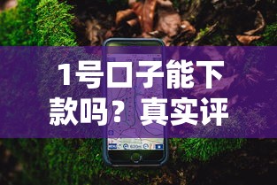 1号口子能下款吗？真实评测+避坑指南（附详细攻略）