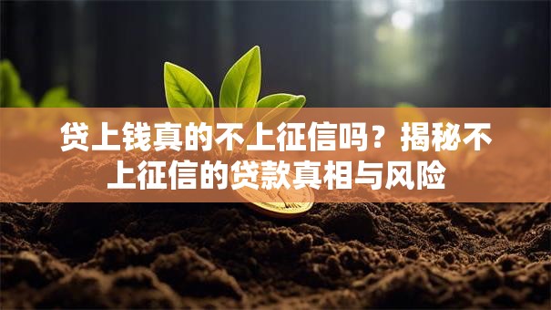 贷上钱真的不上征信吗？揭秘不上征信的贷款真相与风险