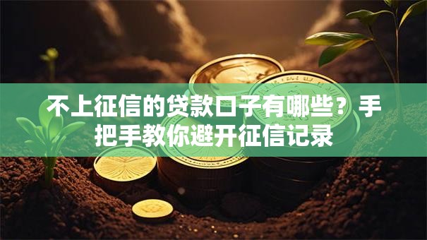 不上征信的贷款口子有哪些？手把手教你避开征信记录