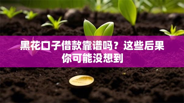 黑花口子借款靠谱吗？这些后果你可能没想到