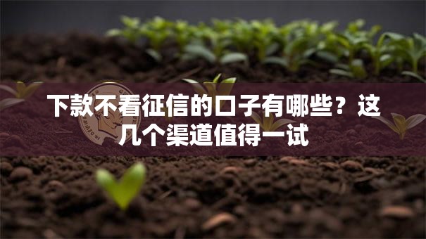 下款不看征信的口子有哪些？这几个渠道值得一试