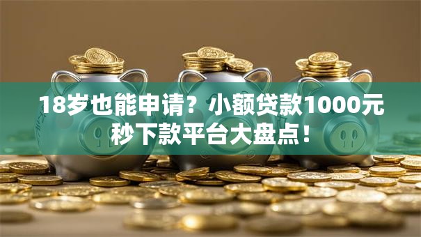 18岁也能申请？小额贷款1000元秒下款平台大盘点！