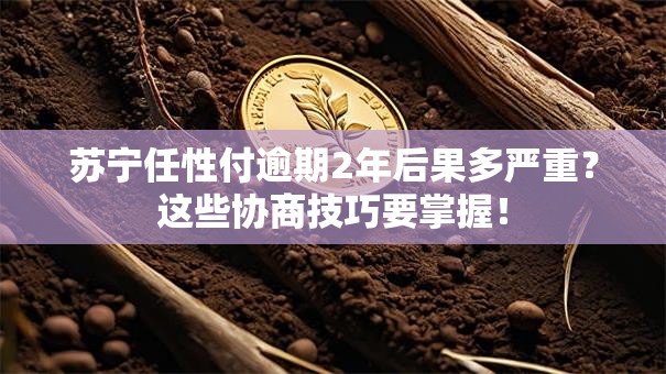 苏宁任性付逾期2年后果多严重？这些协商技巧要掌握！