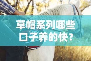 草帽系列哪些口子养的快？老哥实测推荐这几个靠谱平台！