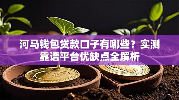 河马钱包贷款口子有哪些？实测靠谱平台优缺点全解析
