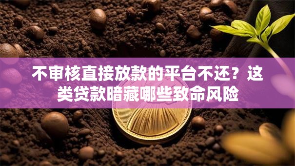 不审核直接放款的平台不还？这类贷款暗藏哪些致命风险