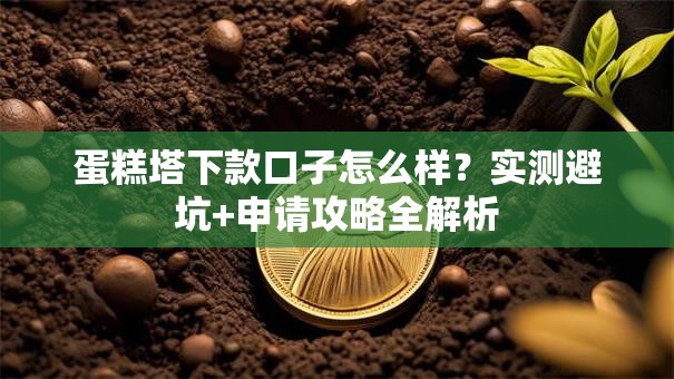 蛋糕塔下款口子怎么样？实测避坑+申请攻略全解析