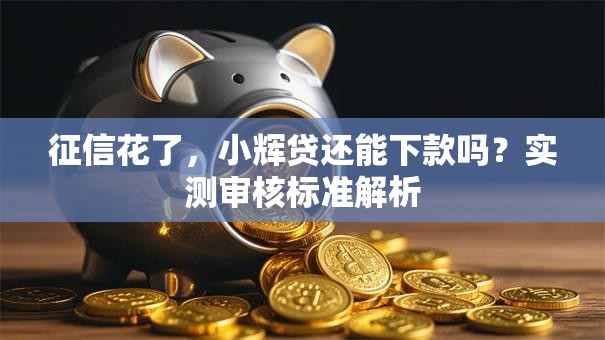 征信花了，小辉贷还能下款吗？实测审核标准解析