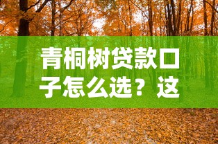 青桐树贷款口子怎么选？这份避坑指南讲透了