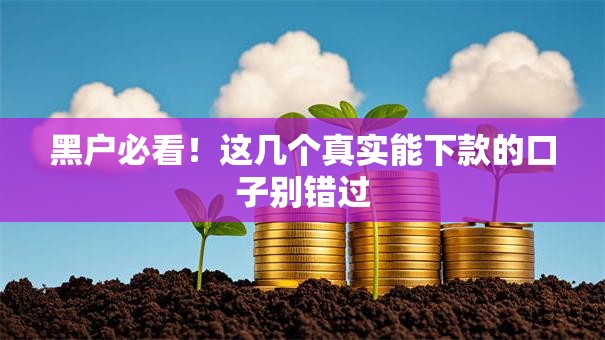 黑户必看！这几个真实能下款的口子别错过