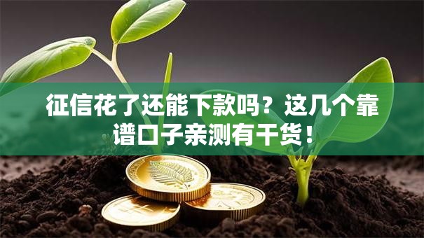 征信花了还能下款吗？这几个靠谱口子亲测有干货！