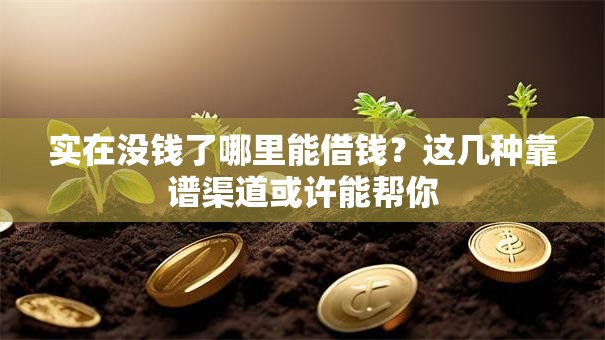 实在没钱了哪里能借钱？这几种靠谱渠道或许能帮你