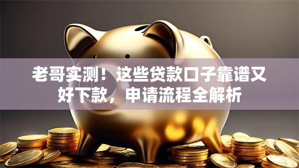 老哥实测！这些贷款口子靠谱又好下款，申请流程全解析