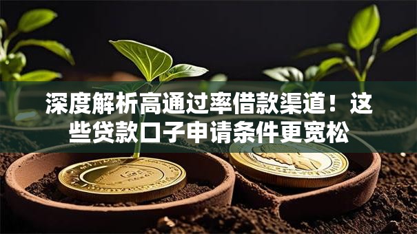 深度解析高通过率借款渠道！这些贷款口子申请条件更宽松