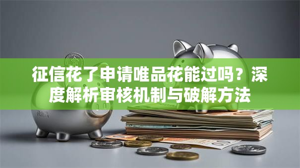 征信花了申请唯品花能过吗？深度解析审核机制与破解方法