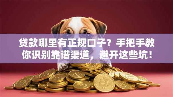 贷款哪里有正规口子？手把手教你识别靠谱渠道，避开这些坑！