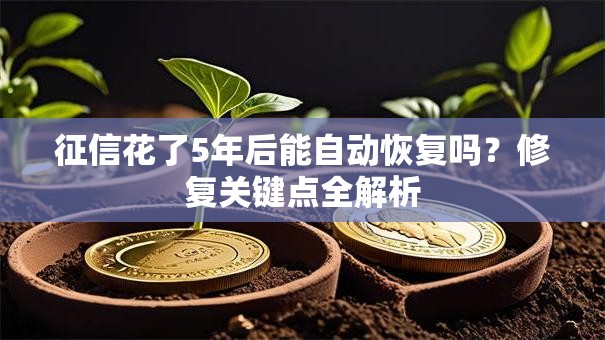 征信花了5年后能自动恢复吗？修复关键点全解析