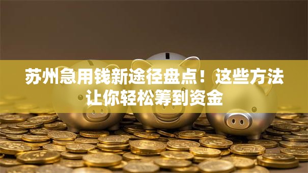苏州急用钱新途径盘点！这些方法让你轻松筹到资金
