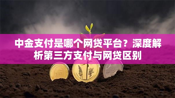 中金支付是哪个网贷平台？深度解析第三方支付与网贷区别