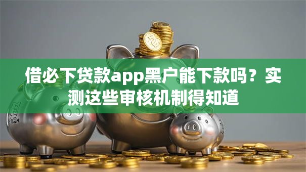借必下贷款app黑户能下款吗？实测这些审核机制得知道