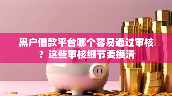黑户借款平台哪个容易通过审核？这些审核细节要摸清