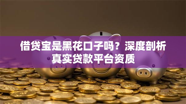 借贷宝是黑花口子吗？深度剖析真实贷款平台资质