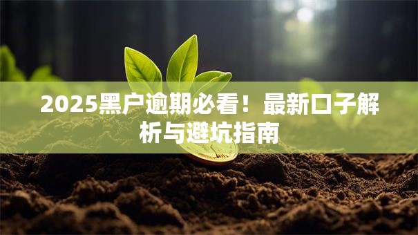 2025黑户逾期必看！最新口子解析与避坑指南