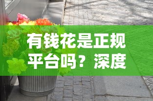有钱花是正规平台吗？深度解析靠谱性+避坑指南