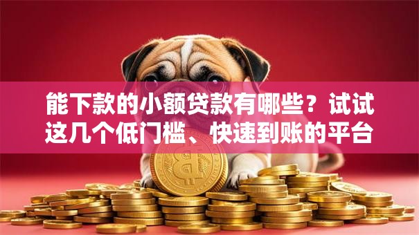 能下款的小额贷款有哪些？试试这几个低门槛、快速到账的平台！