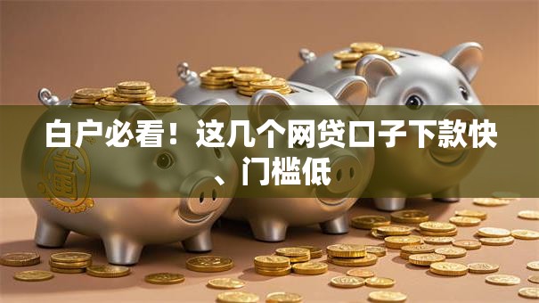 白户必看！这几个网贷口子下款快、门槛低