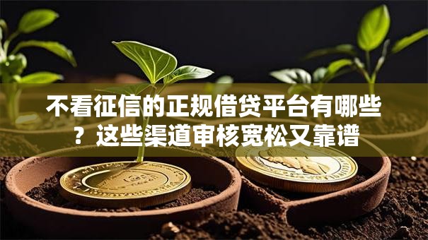 不看征信的正规借贷平台有哪些？这些渠道审核宽松又靠谱