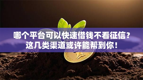 哪个平台可以快速借钱不看征信？这几类渠道或许能帮到你！