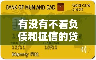 有没有不看负债和征信的贷款平台？这5类渠道可能满足需求