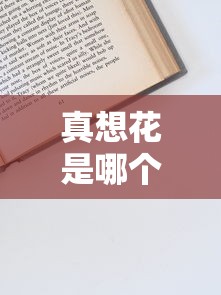 真想花是哪个系列口子？深度解析常见贷款产品与申请技巧