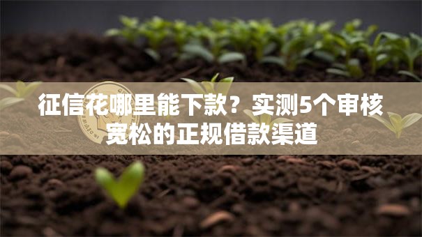 征信花哪里能下款？实测5个审核宽松的正规借款渠道