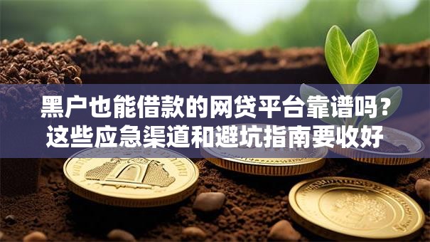 黑户也能借款的网贷平台靠谱吗？这些应急渠道和避坑指南要收好