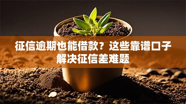 征信逾期也能借款？这些靠谱口子解决征信差难题