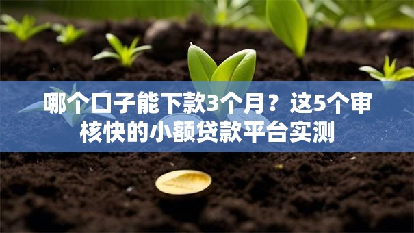 哪个口子能下款3个月？这5个审核快的小额贷款平台实测