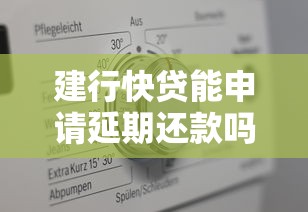 建行快贷能申请延期还款吗？真实申请攻略全解析