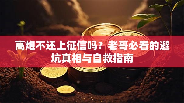 高炮不还上征信吗？老哥必看的避坑真相与自救指南