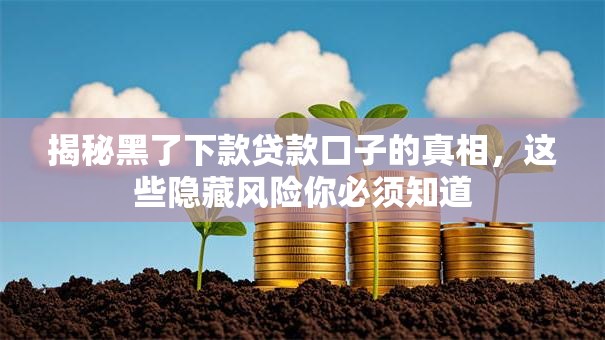 揭秘黑了下款贷款口子的真相，这些隐藏风险你必须知道