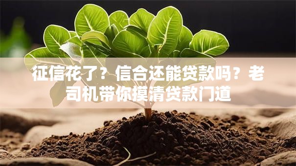 征信花了？信合还能贷款吗？老司机带你摸清贷款门道