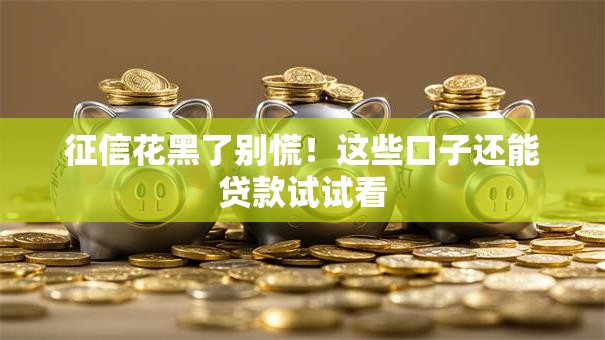 征信花黑了别慌！这些口子还能贷款试试看