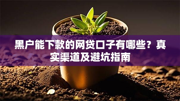 黑户能下款的网贷口子有哪些？真实渠道及避坑指南