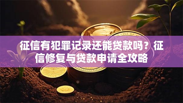 征信有犯罪记录还能贷款吗？征信修复与贷款申请全攻略