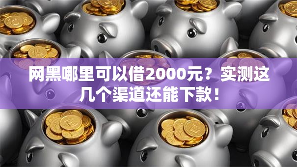 网黑哪里可以借2000元？实测这几个渠道还能下款！