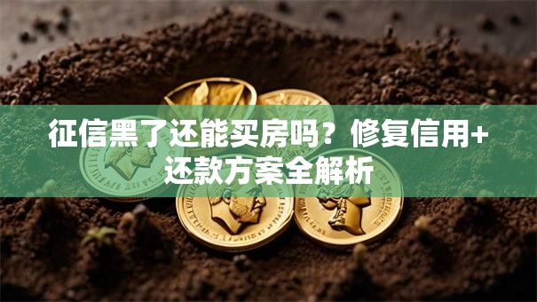 征信黑了还能买房吗？修复信用+还款方案全解析