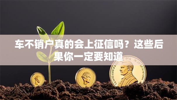 车不销户真的会上征信吗？这些后果你一定要知道
