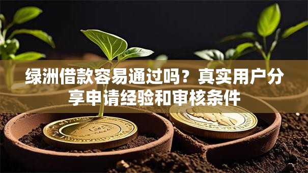 绿洲借款容易通过吗？真实用户分享申请经验和审核条件