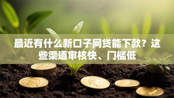最近有什么新口子网贷能下款？这些渠道审核快、门槛低